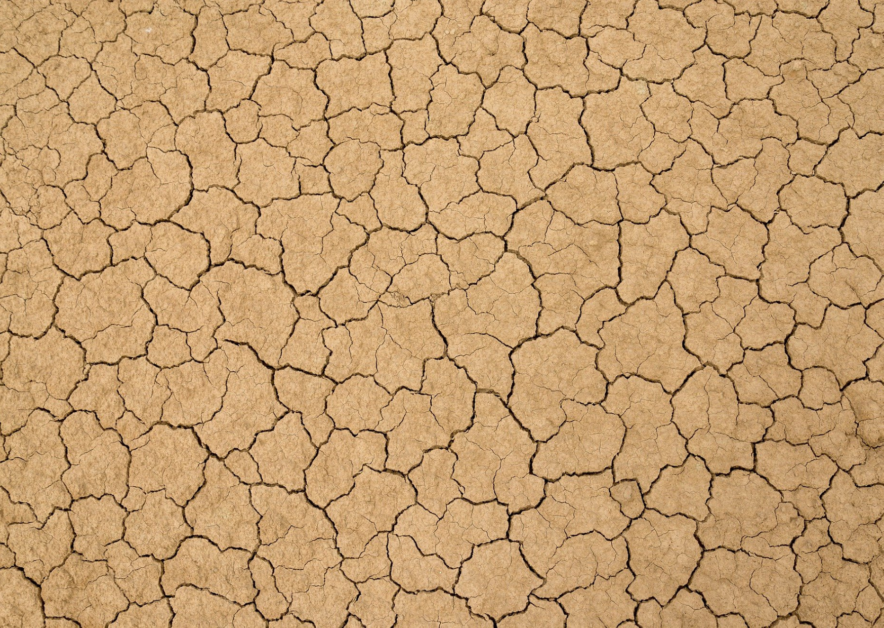 drought climate desert